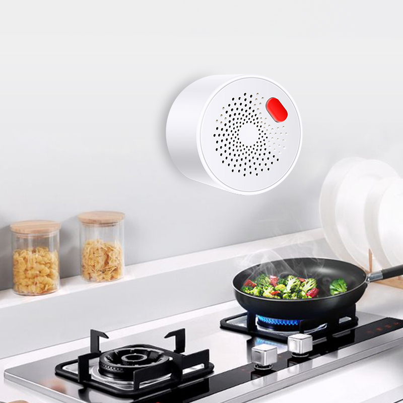 Датчик природного газа Tuya Sm – обзор и цена Smart Home Outdoor
